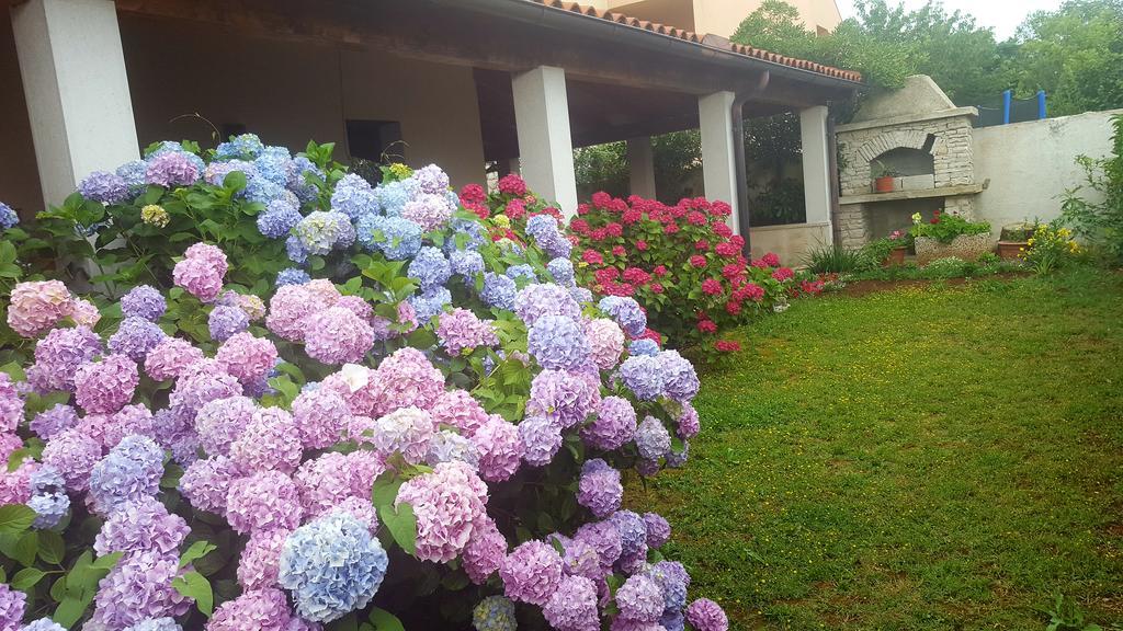 Bed & Breakfast บานโจเล ภายนอก รูปภาพ